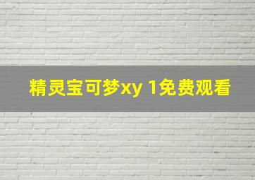 精灵宝可梦xy 1免费观看